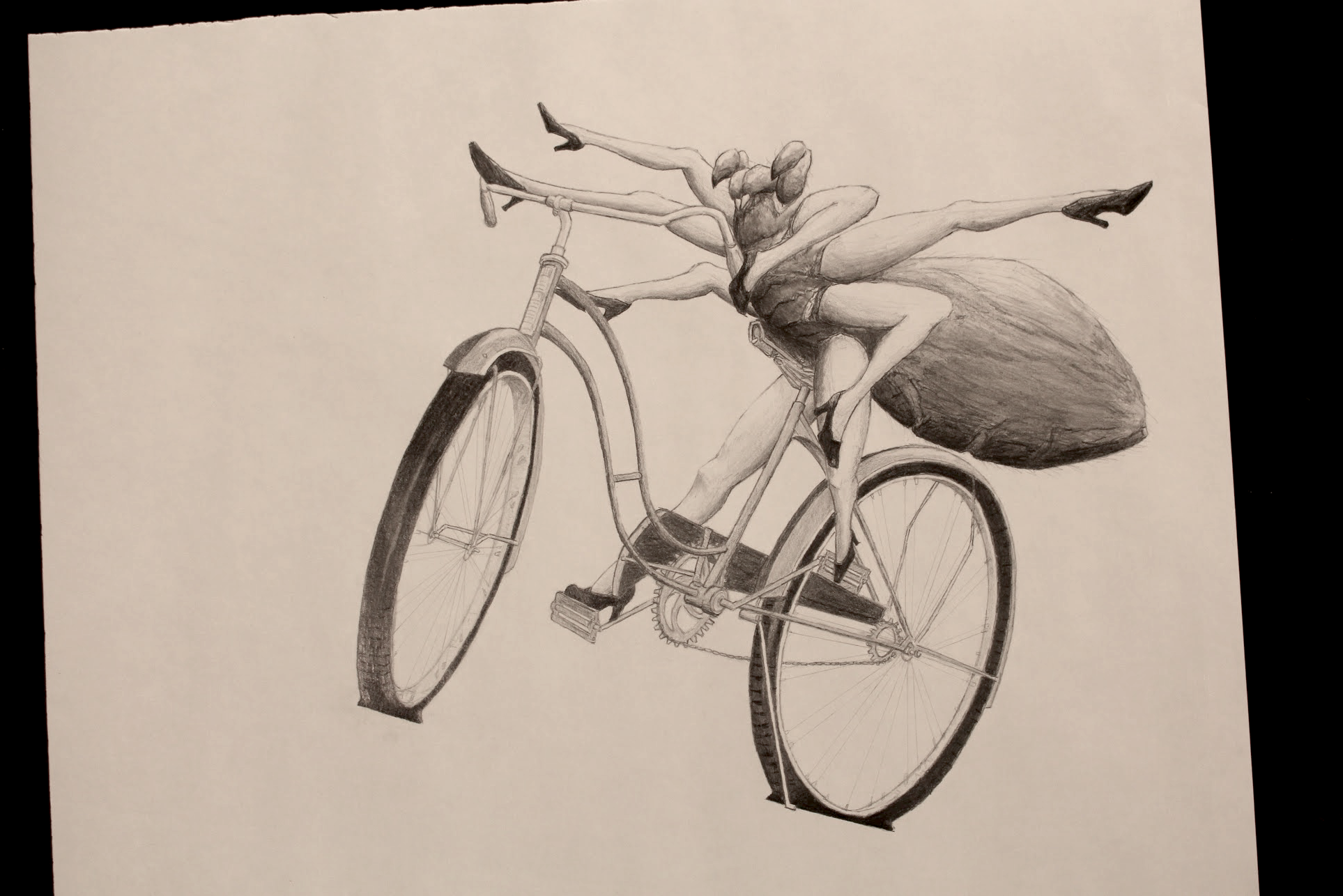 Spider on a bicycle sales