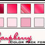 Raspberry Color Pack
