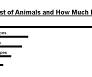 Flash4 List of Animals And How Much I Like Them