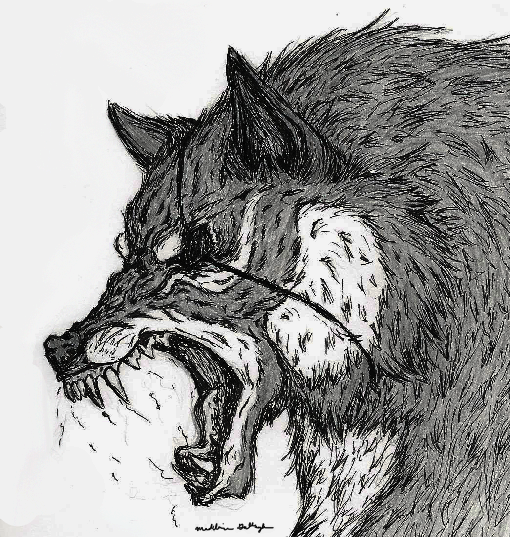 Werewolf Eyes Drawings Wolf Eye By PandorasWolf On DeviantArt