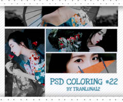 [ 071016 ] PSD coloring #22