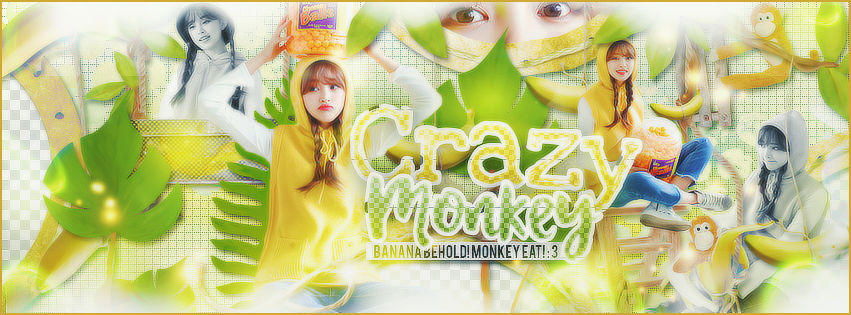 Crazy monkey by tranluna12