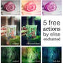 5 free photoshop actions