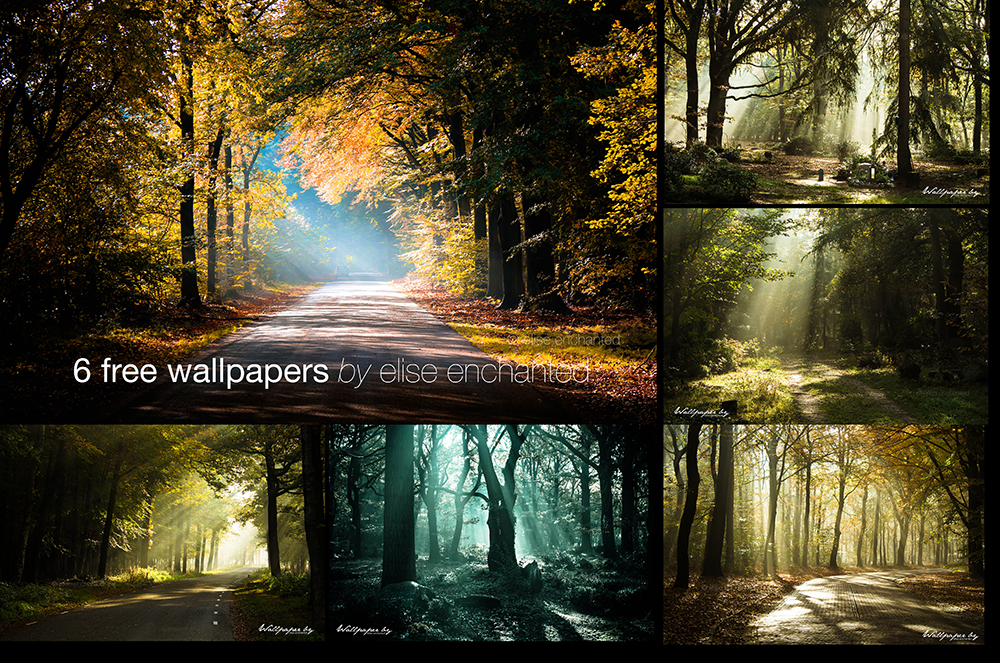 FREE Nature wallpapers by EliseEnchanted
