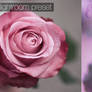 Soft rose lightroom preset