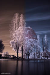 InfraRed Photography Action