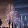 InfraRed Photography Action