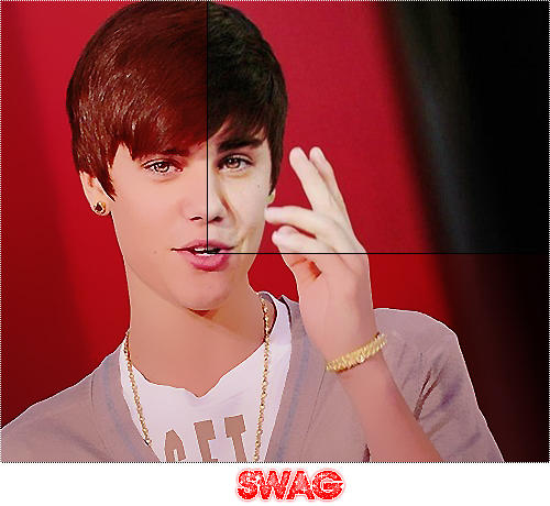 Swag Basic Profile swag by swagBieber01 on DeviantArt