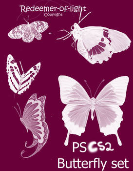 Butterfly brush Set CS2