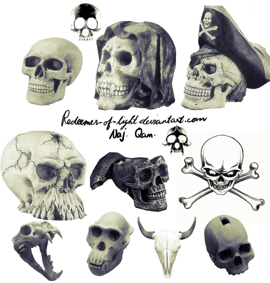 Skull brushes CS2 by NajlaQamber