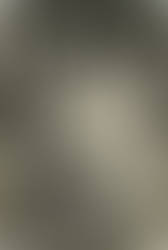 Video-24e60d5e-44b8-46bd-b518-8d4f58d32abb