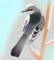 Mockingbird13's Avatar