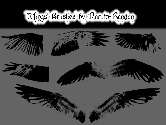 Wings Brushes
