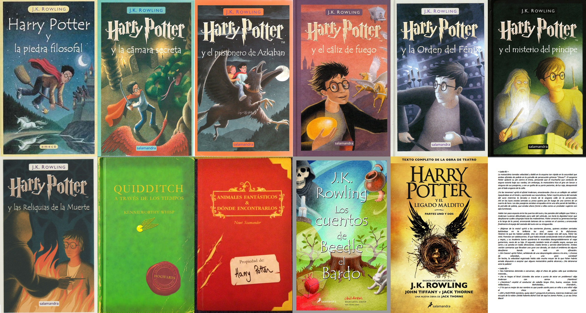 Harry Potter Libro Pdf Coleccion Harry Potter PDF by Ravdel on DeviantArt