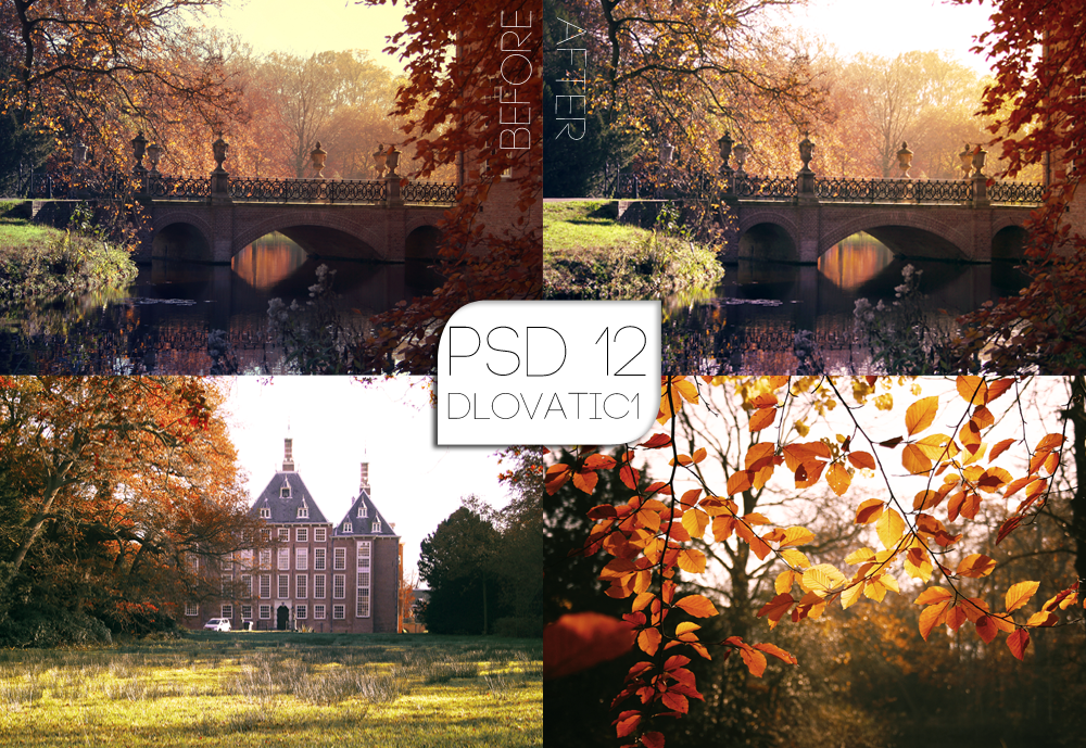 PSD 12 by DLovatic1 on DeviantArt