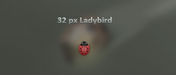 32 Px Ladybird