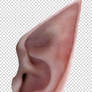 Elf Ears PSD