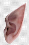 Elf Ears PSD by emmytonks