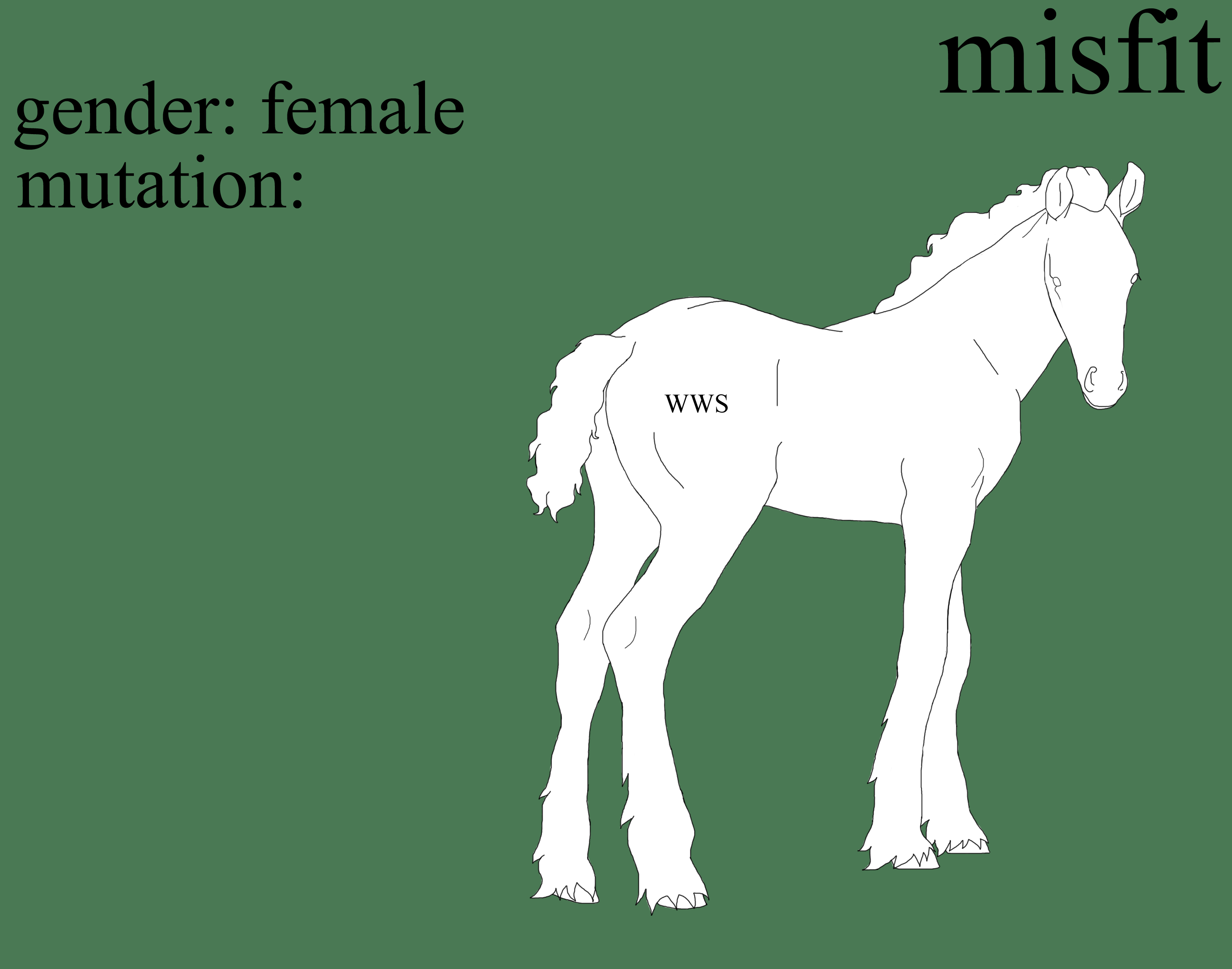 misfit foal lines