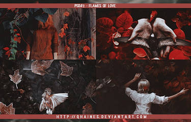 PSD#2 - Flames Of Love