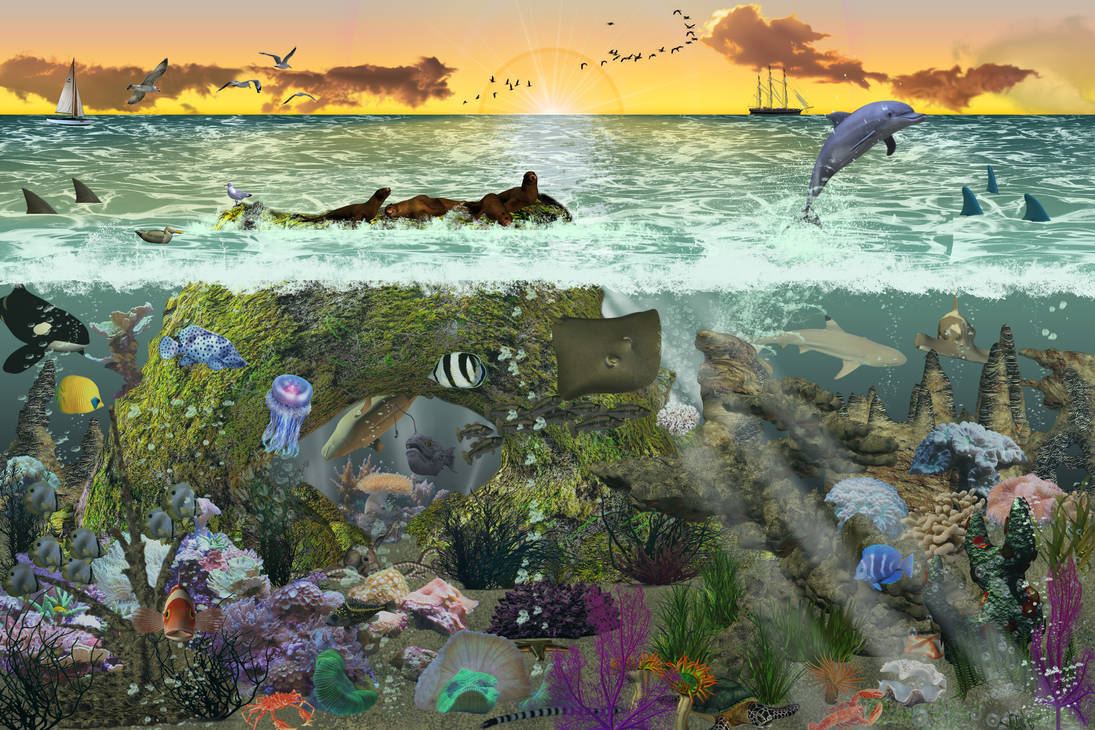 underwater and afloat by goazilla on DeviantArt