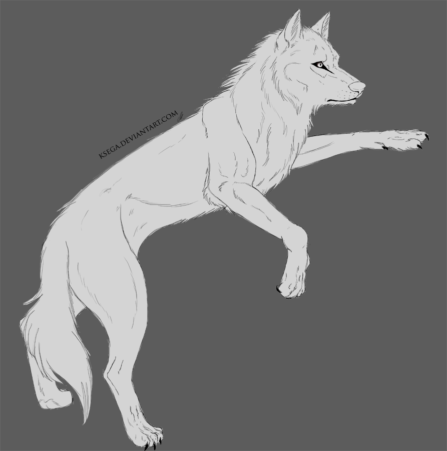 Wolf Lineart by miyuuma