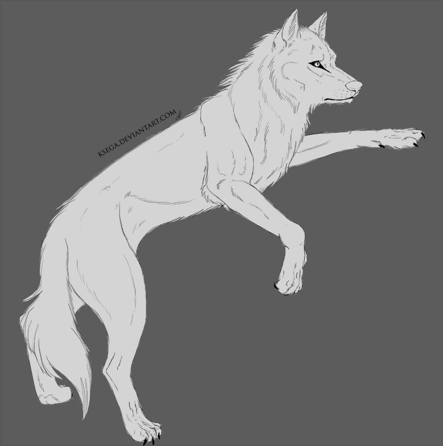 Wolf Lineart by miyuuma