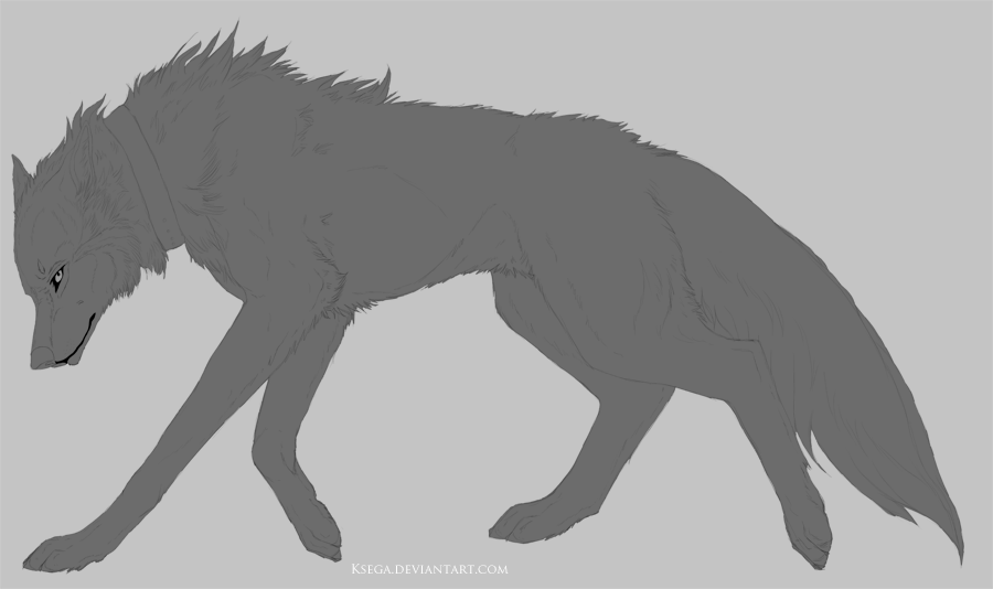 Free Wolf Lineart