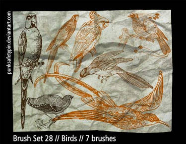 Brush Set 28 - Birds