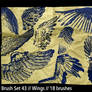 Brush Set 43 - Wings