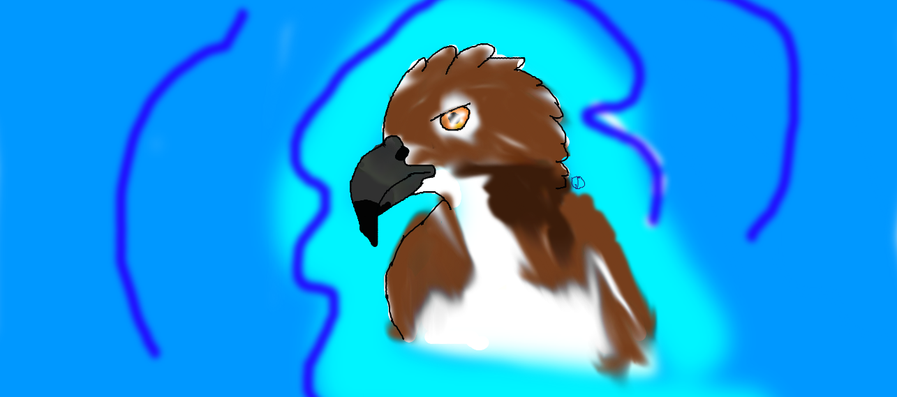 The Falconer's Apprentice by Shortwinger on DeviantArt