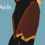 DS model - Azula