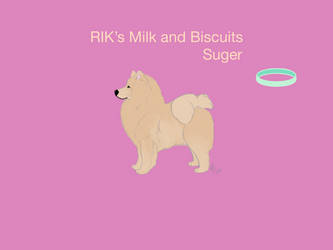 RIK's Milk and Biscuits