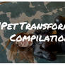 Pet Transformation Compilation 3| Hypnotized Girls