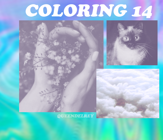 14 - Coloring psd