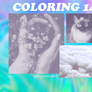 14 - Coloring psd