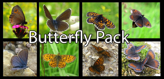 Butterfly Pack