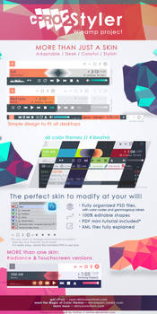 cPro2 Styler - Skin project