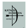 Katniss Everdeen Catching Fire Victor Poster