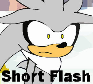 Silver Short Flash