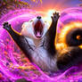 Magical Sun Rays sleeping Cutie BUBO347s Marten 