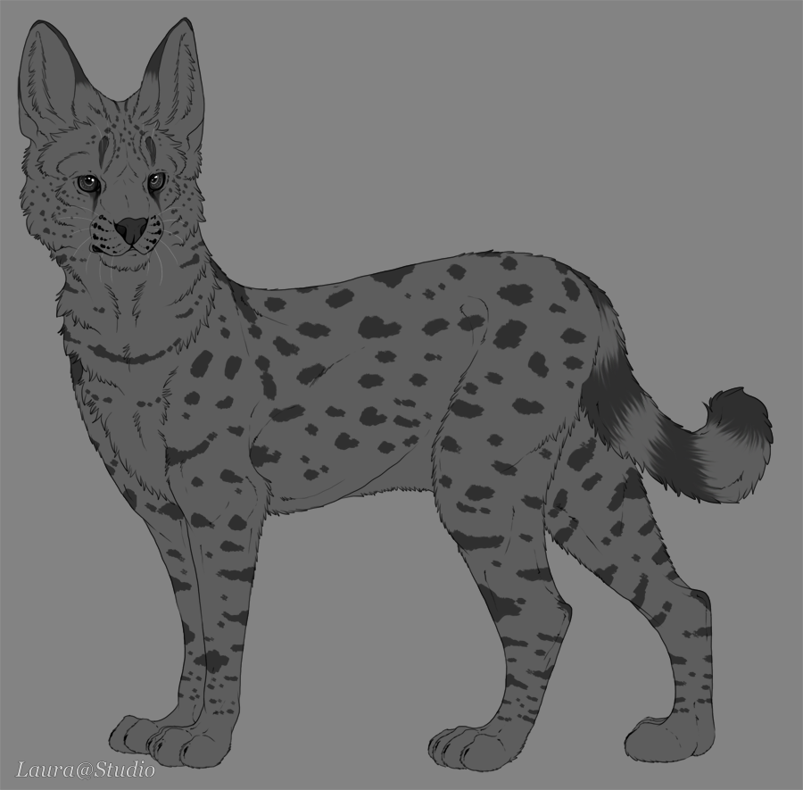 V.2 Serval Lineart