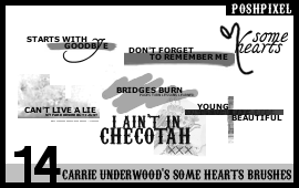 CARRIE UNDERWOOD'S SOME HEARTS