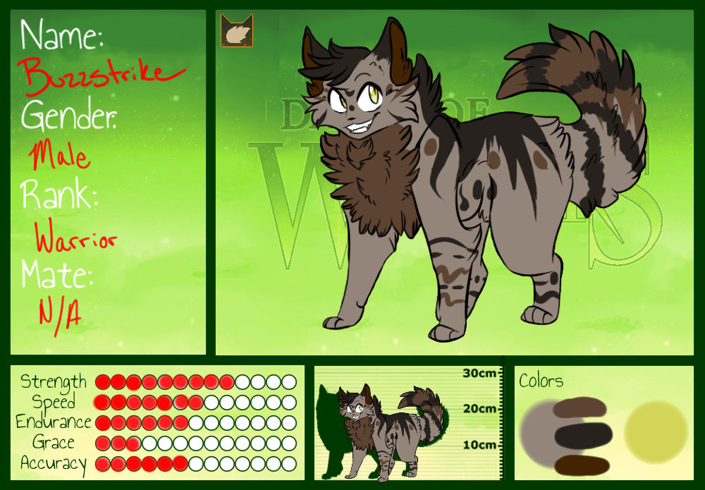 DoW|Buzzstrike|Leafclan Ref. sheet by TheArtNarwhal on DeviantArt