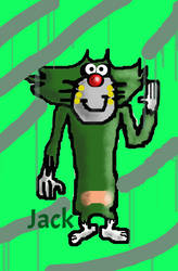 Jack the Cat