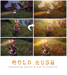 Gold Rush by Stallaris