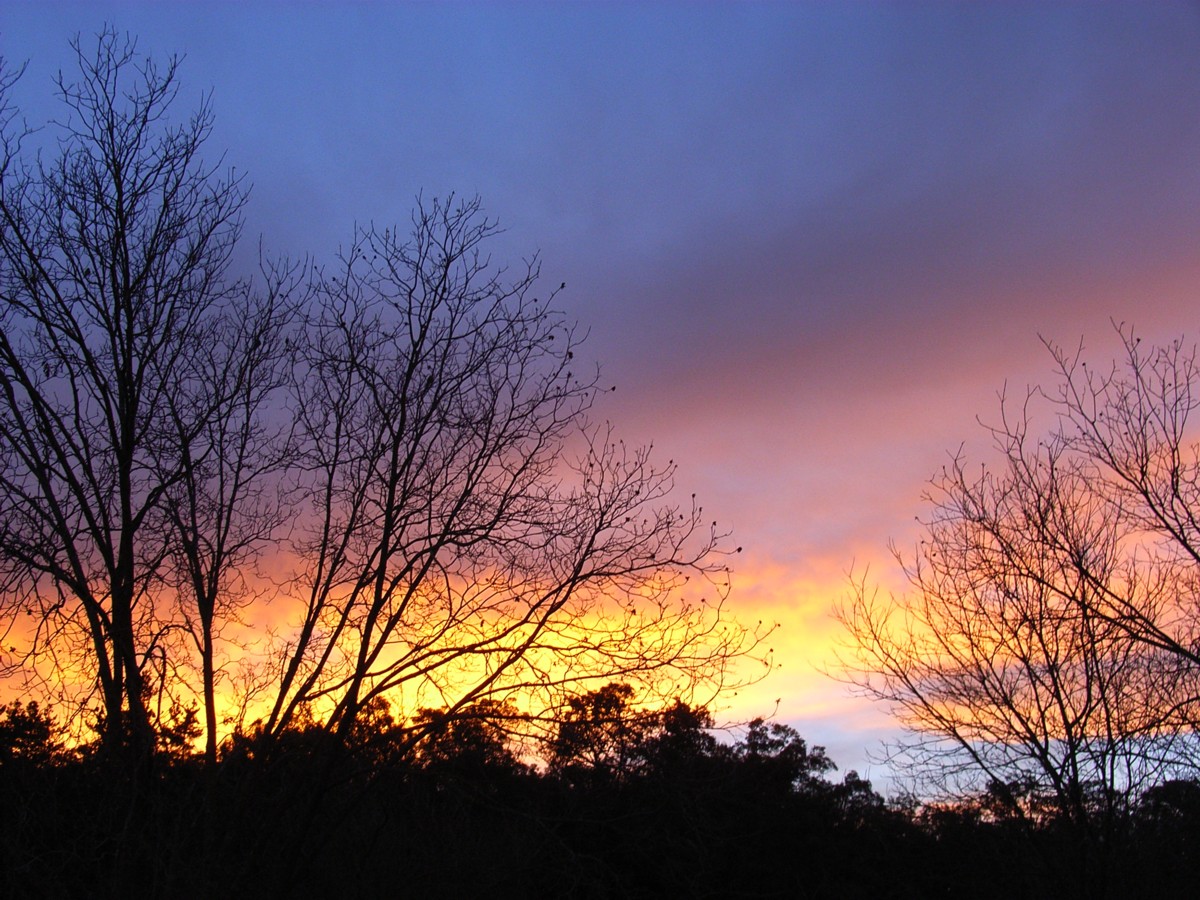 Winter Sunrise