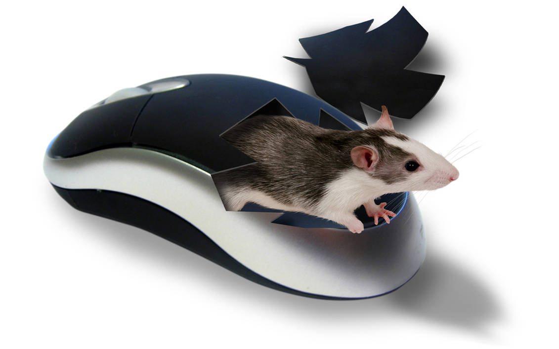 Sibm mouse. Мышка. Мышь компьютерная. Необычные компьютерные мыши. Прикольная компьютерная мышь.