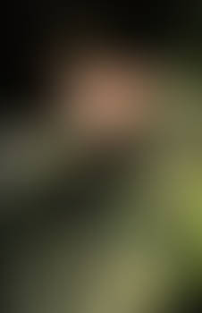 Squirrel 1
