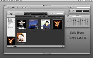 Soliq Black iTunes 8.2.1 - 6